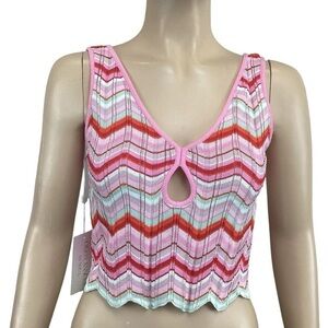 Torn By Ronny Kobo Pink Chevron Knit Top